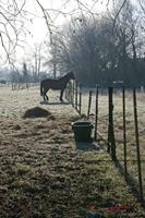 Cjp_2010_01_31_111724 (1).jpg